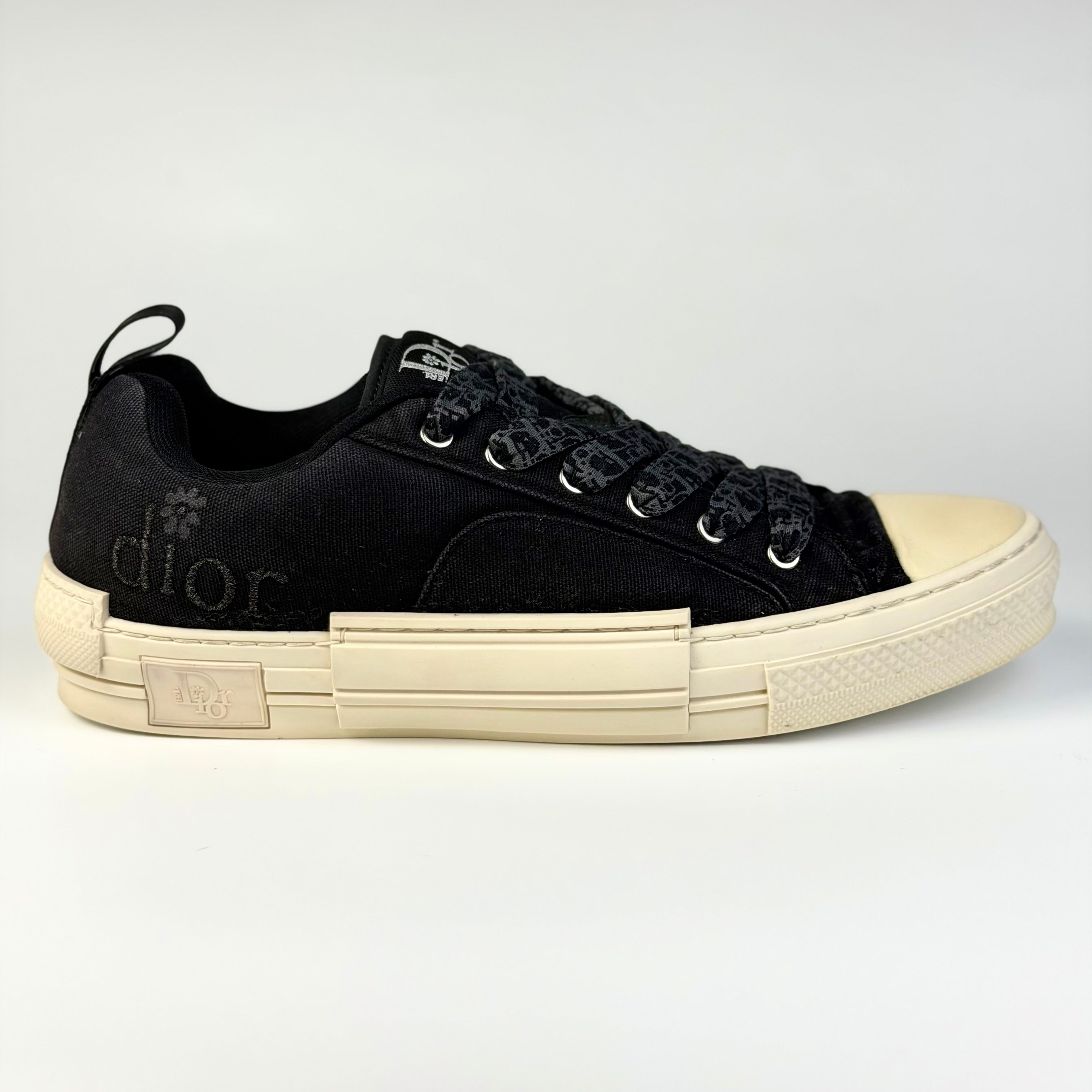 Dior x ERL B23 Skater Low