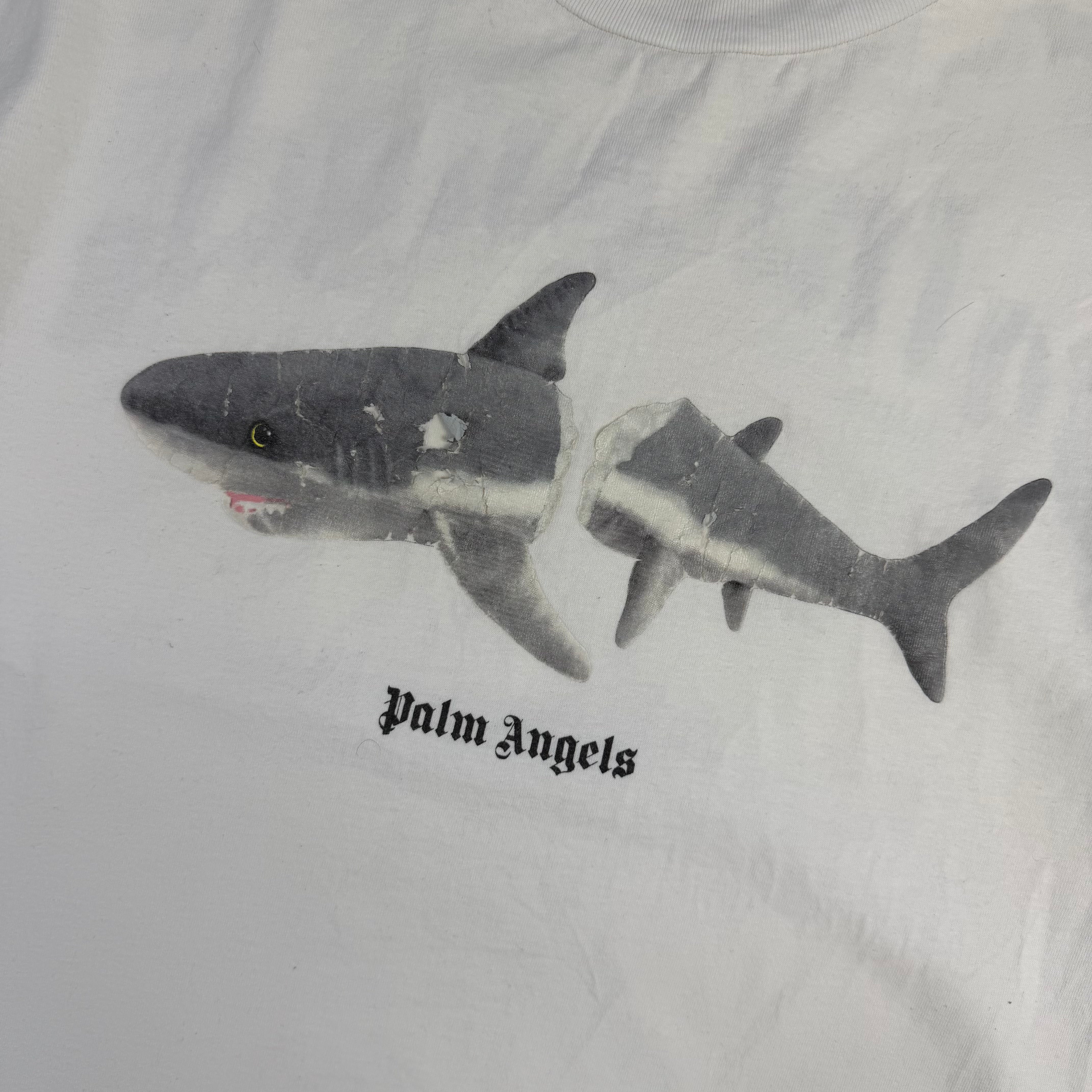 Palm Angels Shark T-Shirt White