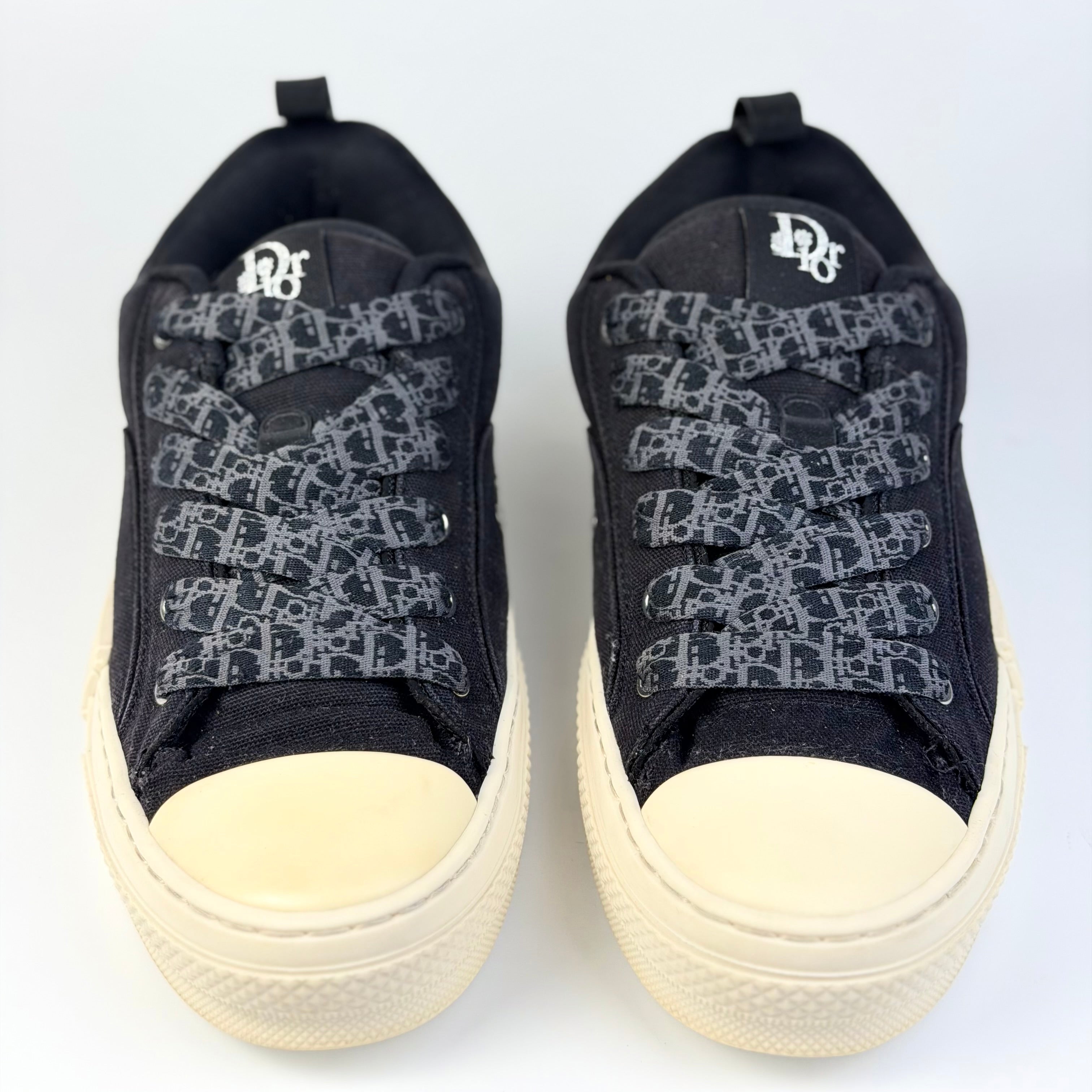 Dior x ERL B23 Skater Low