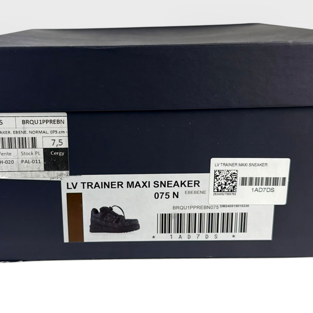 Louis Vuitton LV Trainer Maxi Ebene Monogram