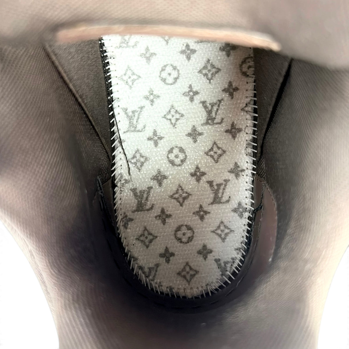 Louis Vuitton LV Trainer Maxi Ebene Monogram