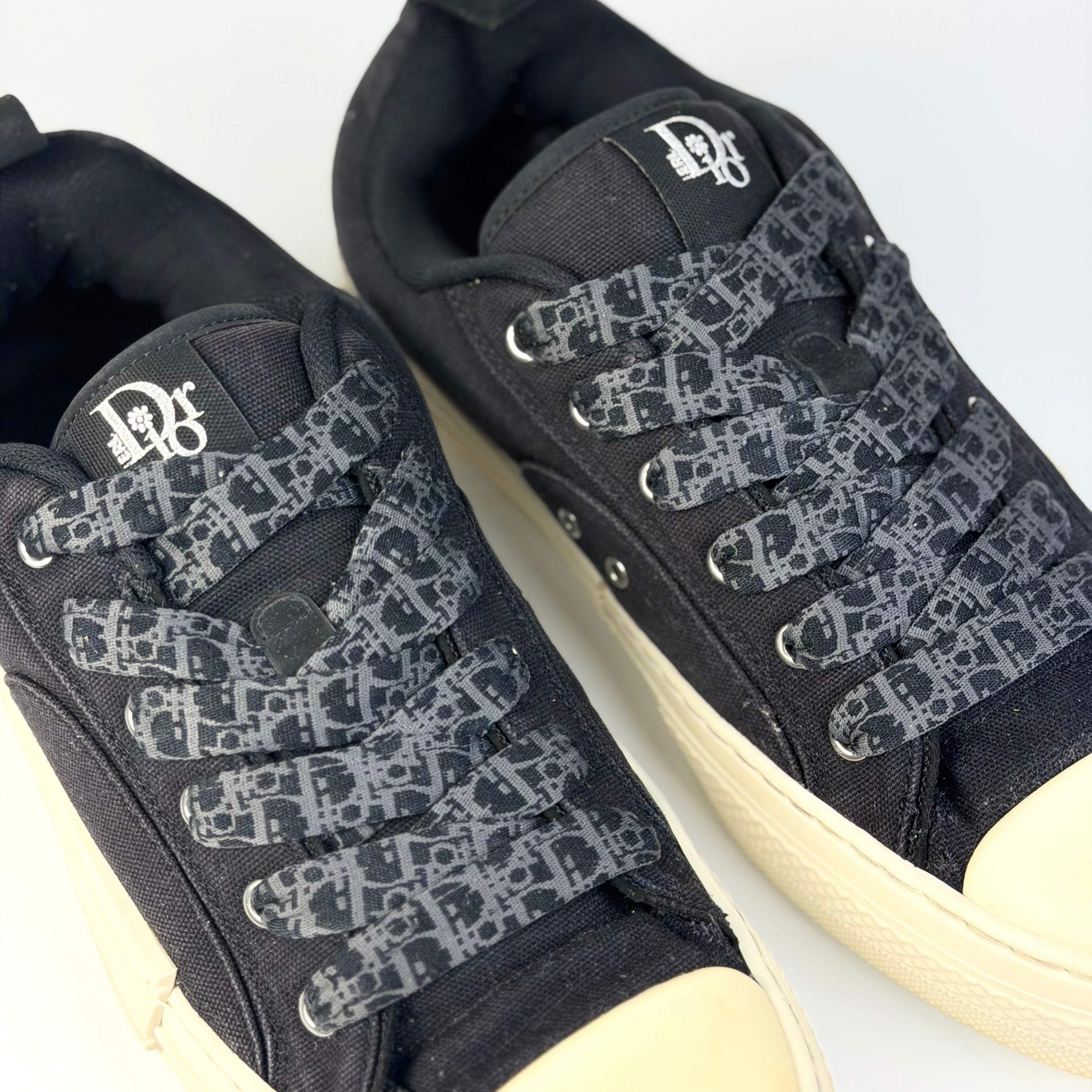 Dior x ERL B23 Skater Low
