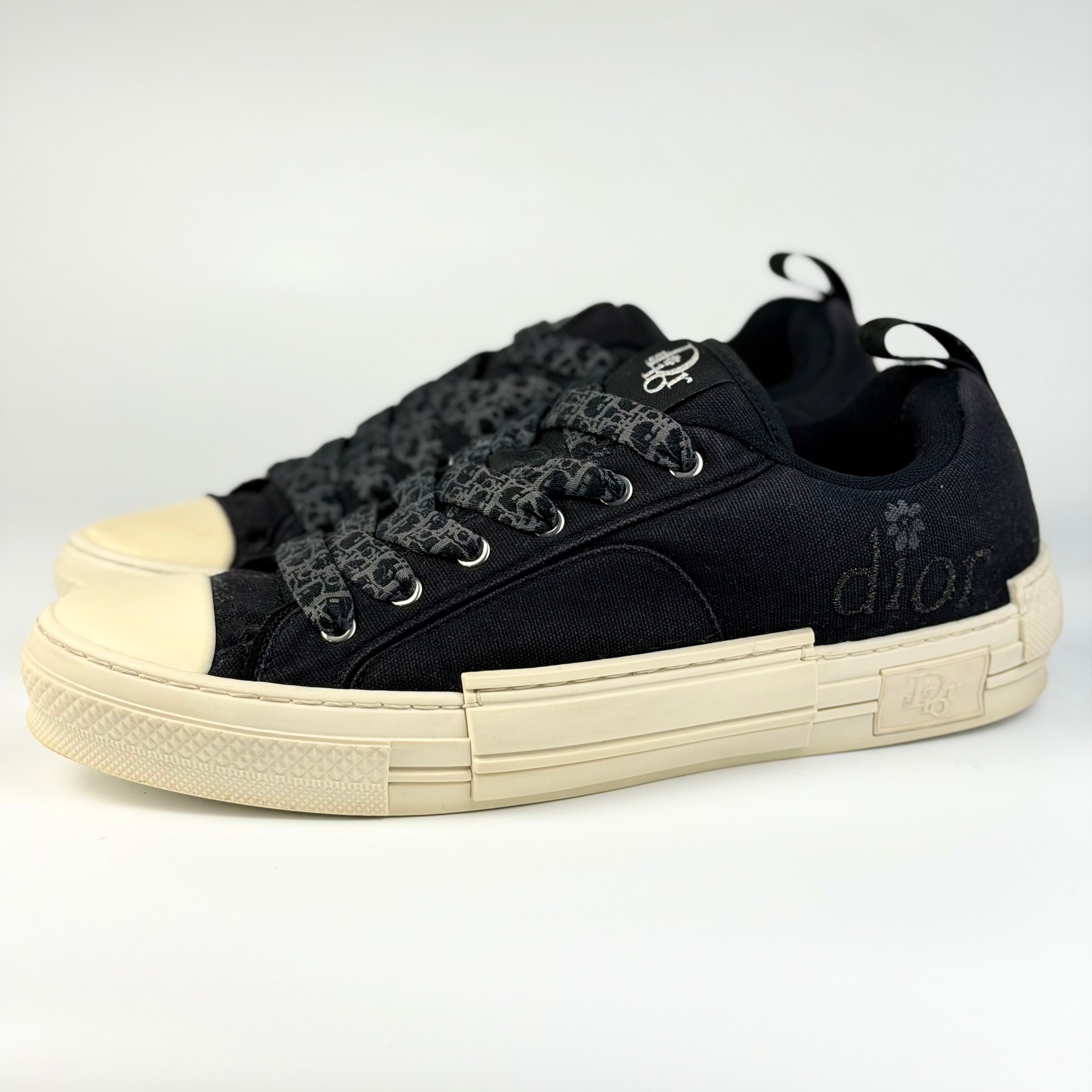 Dior x ERL B23 Skater Low