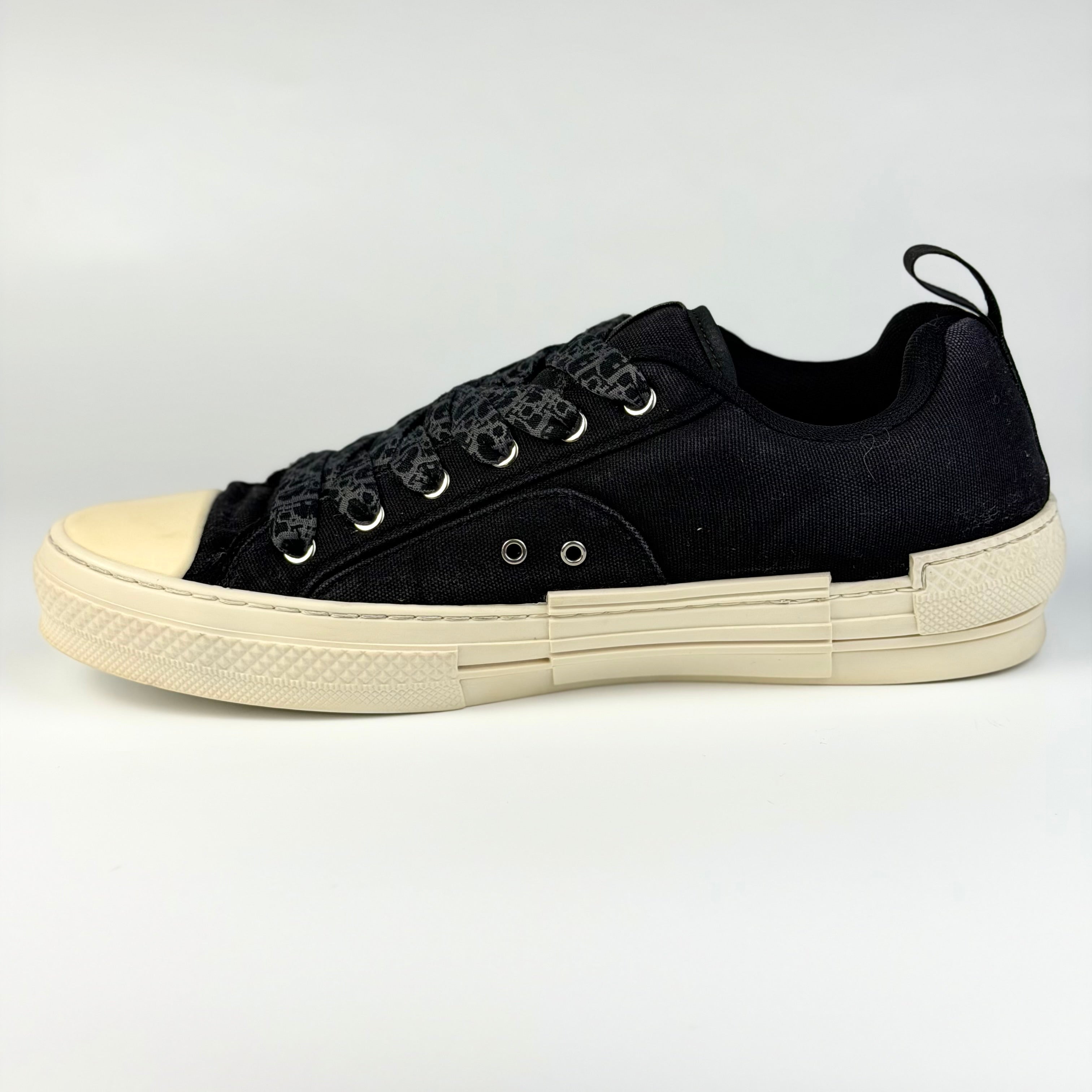 Dior x ERL B23 Skater Low