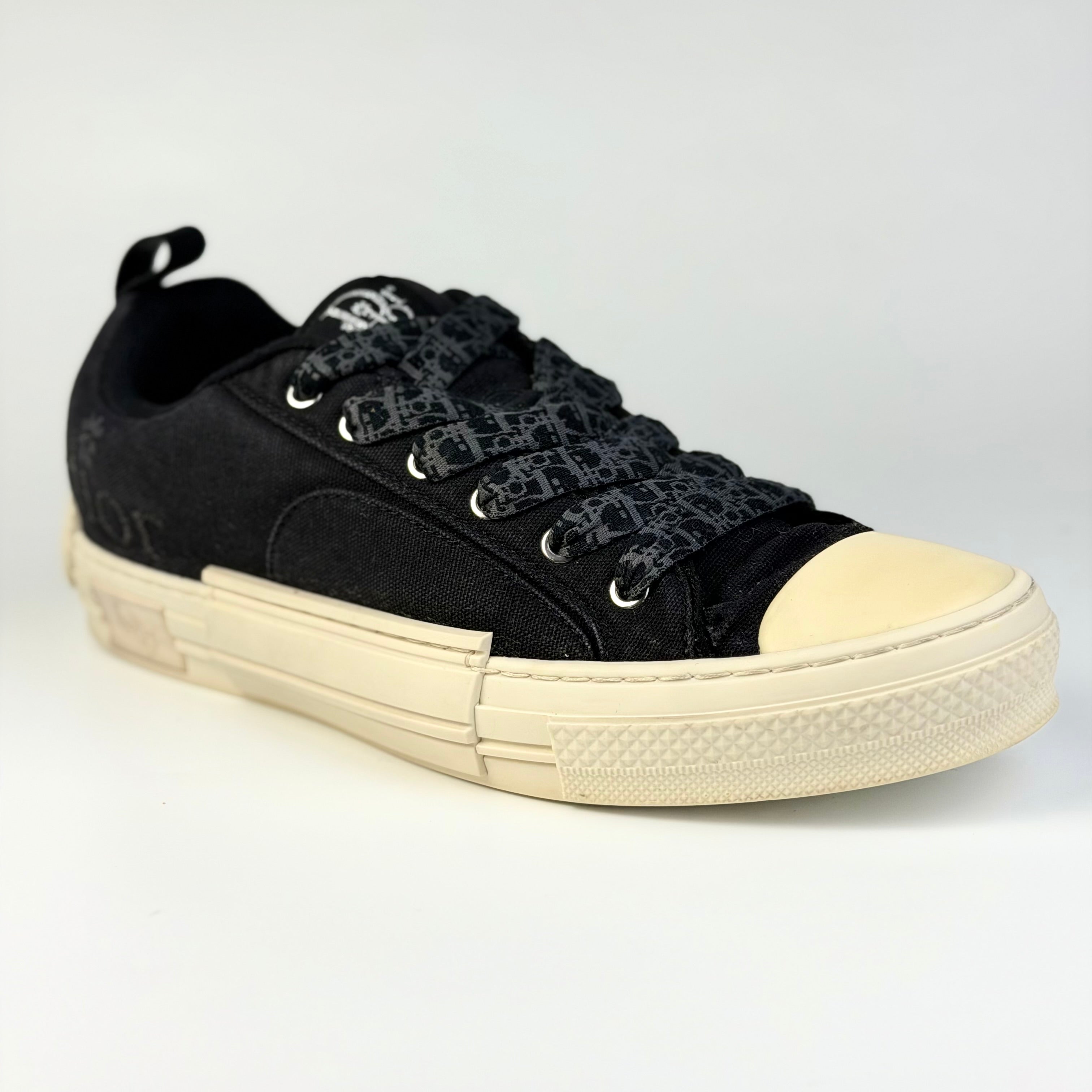 Dior x ERL B23 Skater Low