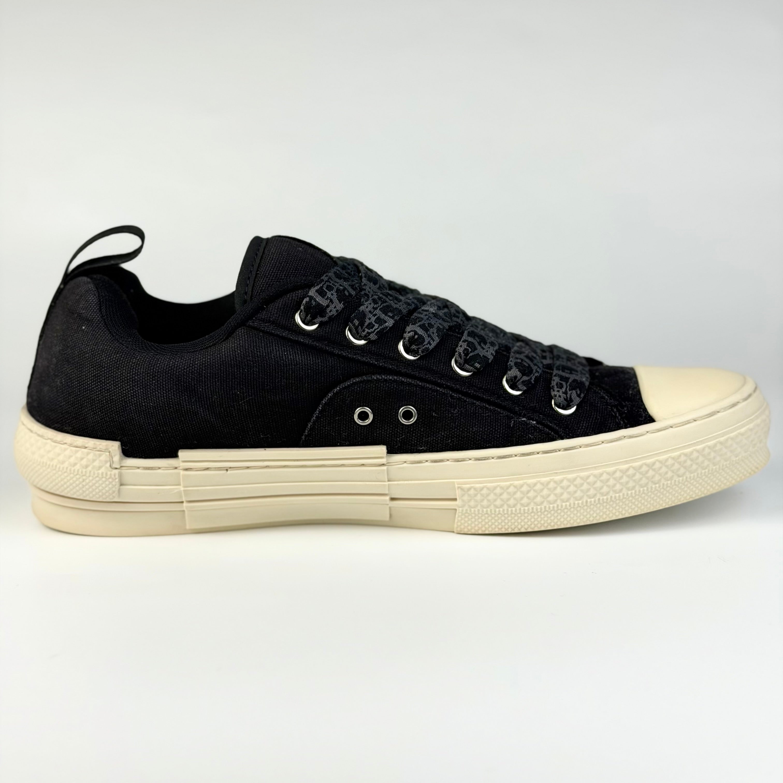 Dior x ERL B23 Skater Low