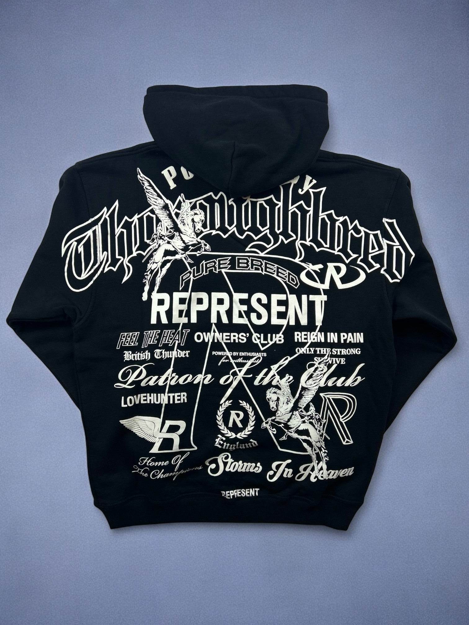 Represent Icon Hoodie - V STEALS