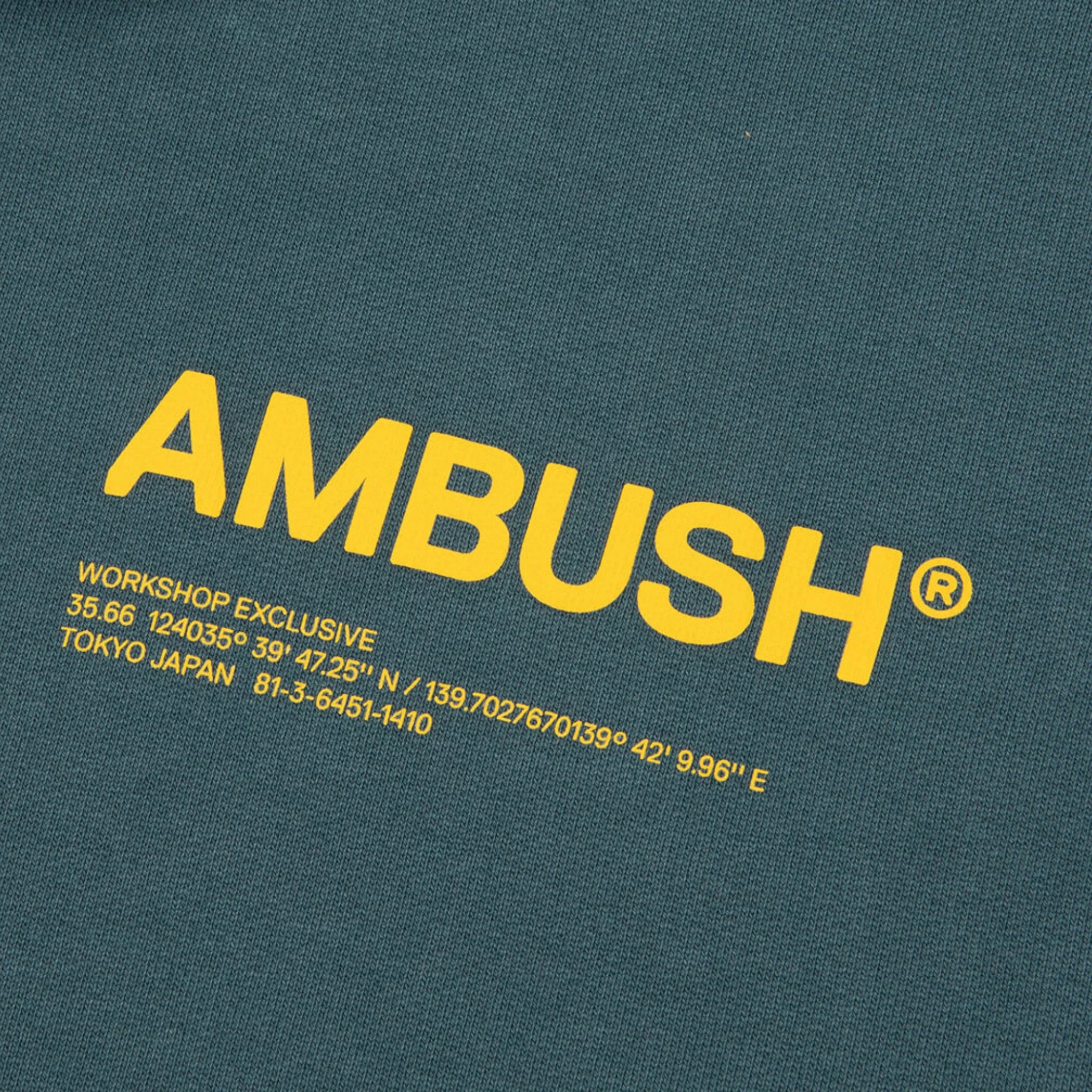 AMBUSH hoodie – vedere lateral | VSTEALS