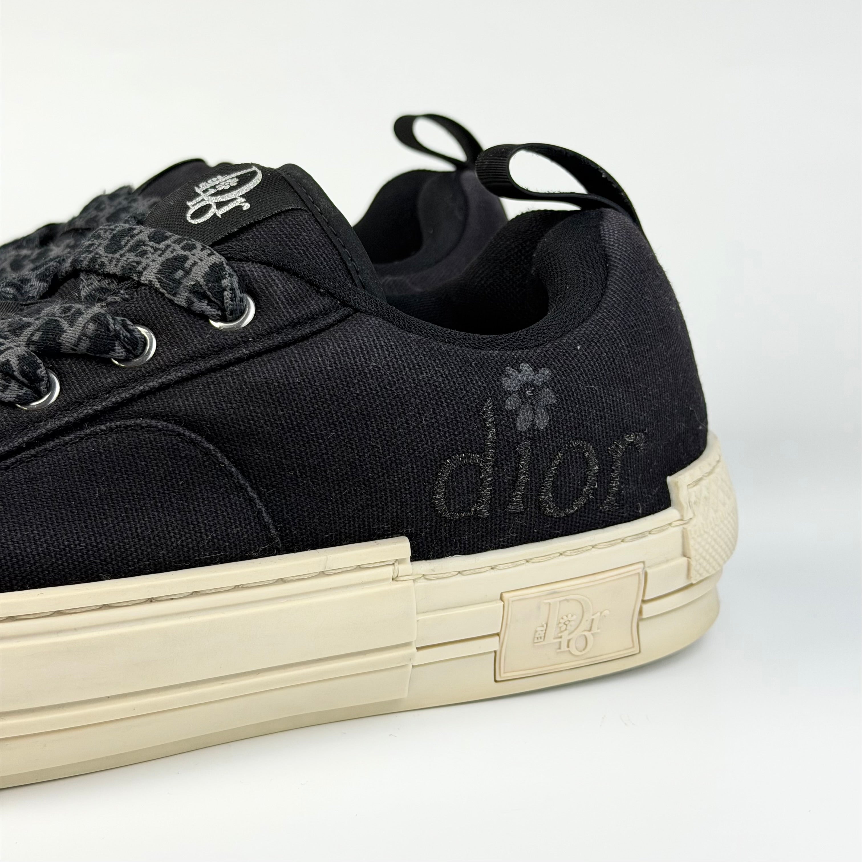 Dior x ERL B23 Skater Low
