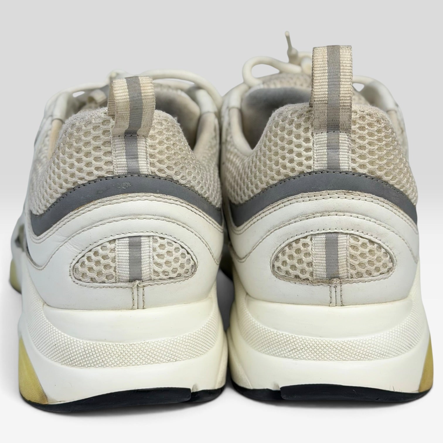 Dior B22 Sneaker White/Grey