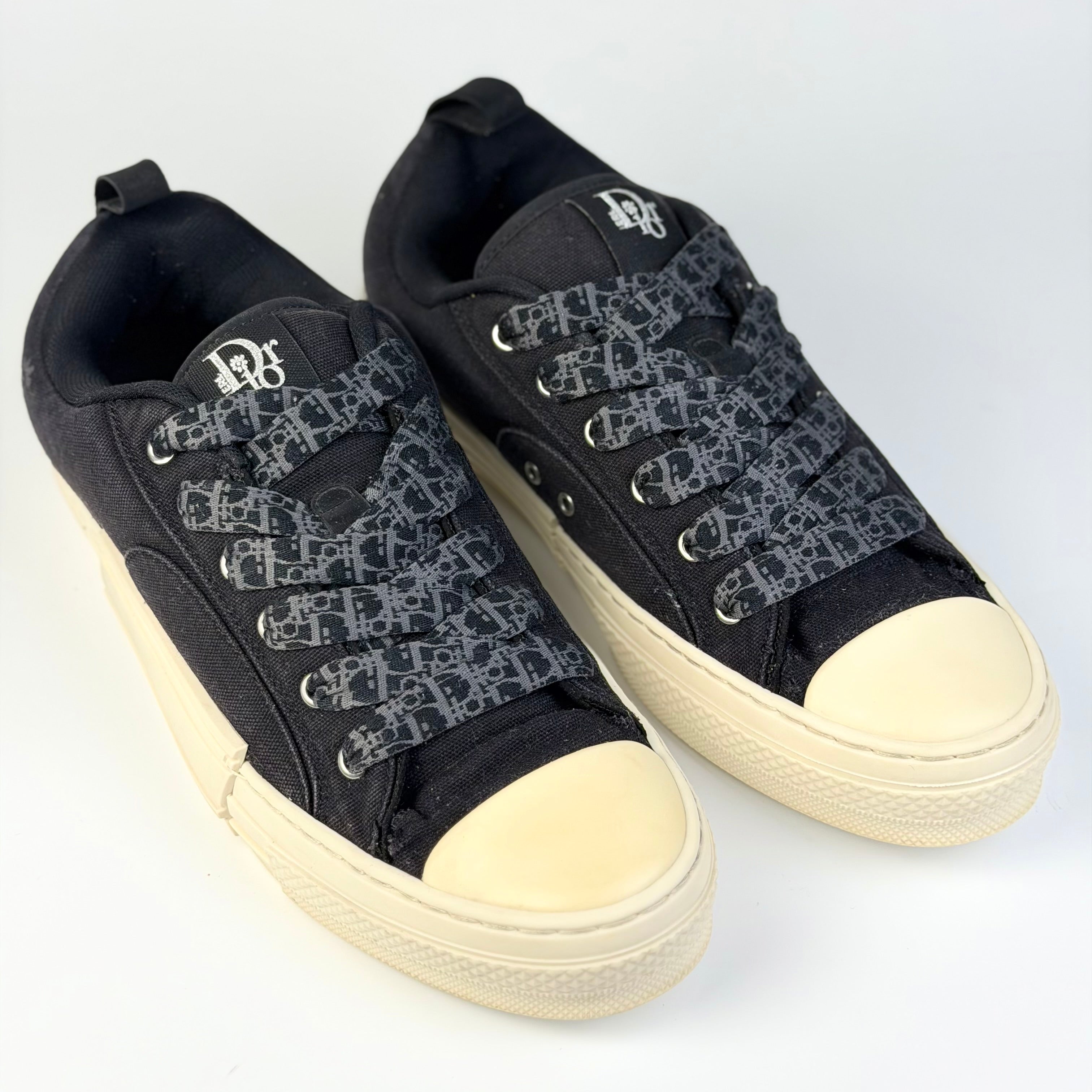Dior x ERL B23 Skater Low