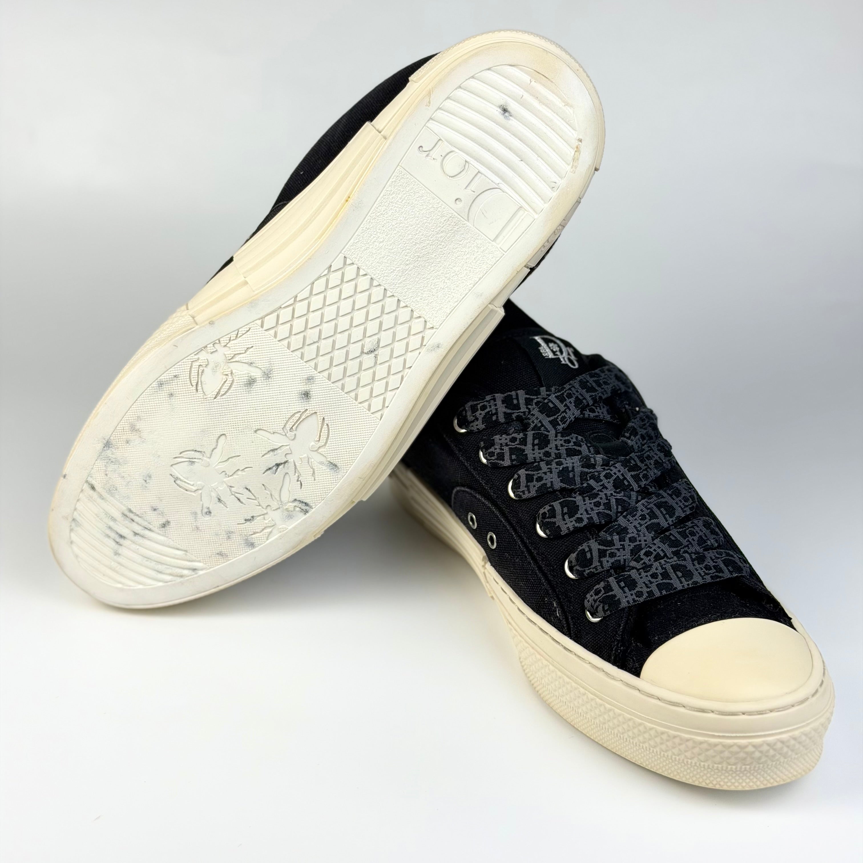 Dior x ERL B23 Skater Low